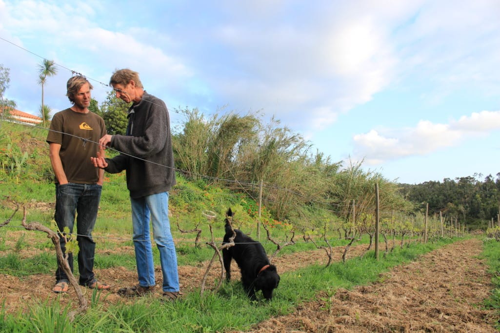 Georg explaining VineyardCarveira