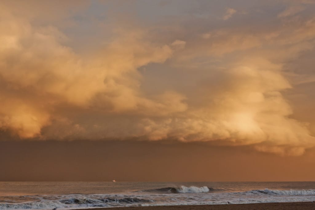 dutch skies